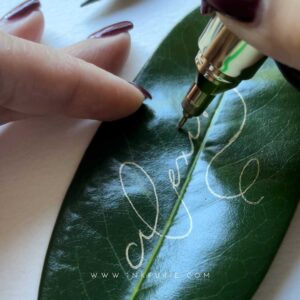 Guide to Create Botanical Name Cards